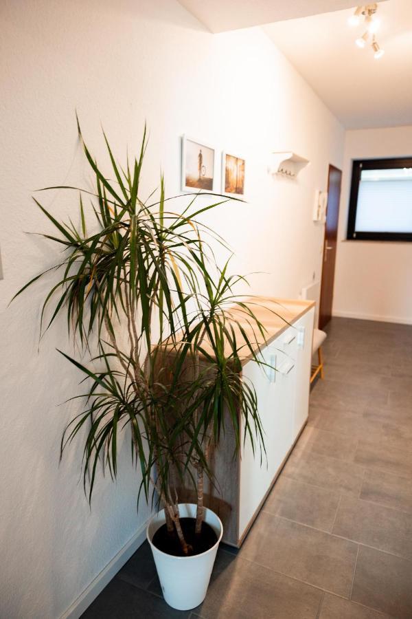 Ferienwohnung Am See - Sport Und Erholung - Wlan 빈터베르크 외부 사진